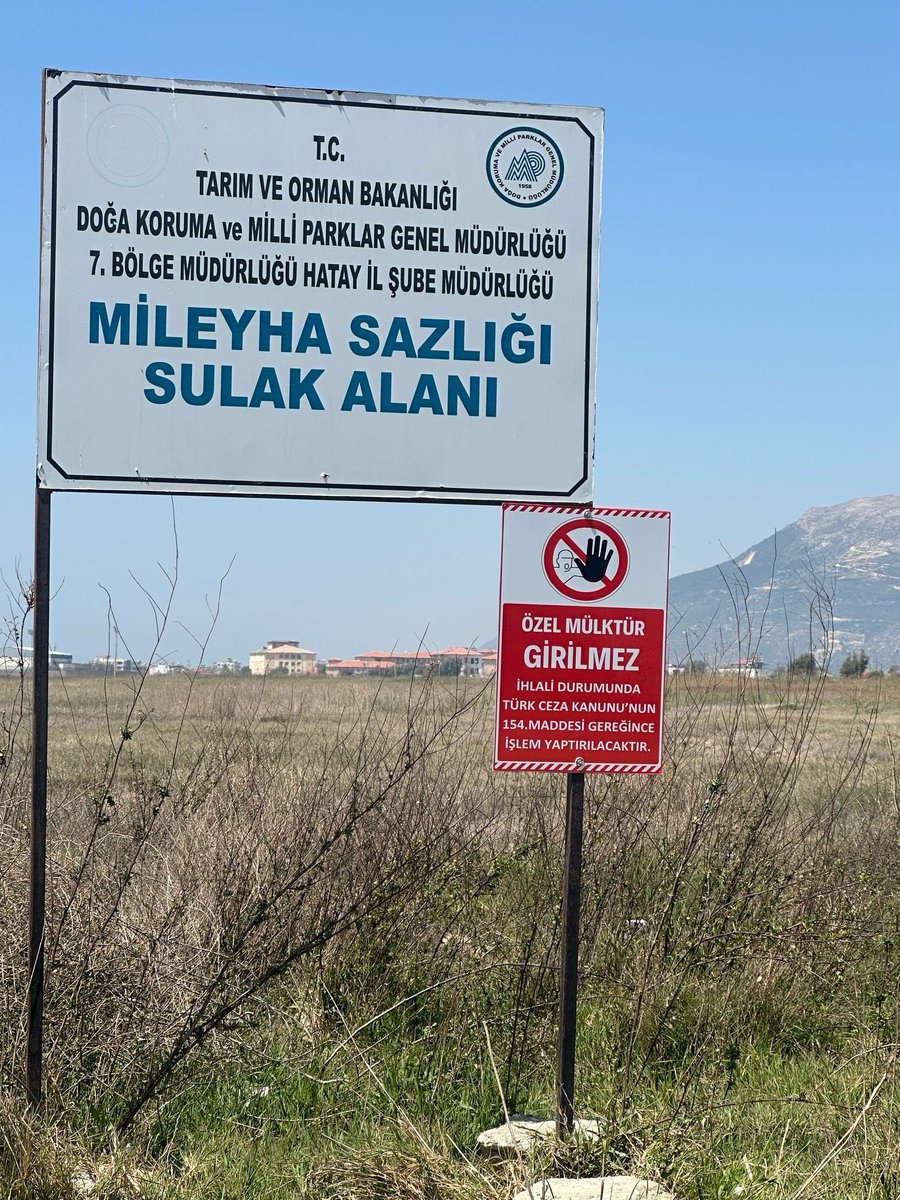 gulnursaydam's tweet photo. 📍MİLEYHA KUŞ CENNETİ / SAMANDAĞ

Dünya’nın en önemli kuş gözlem alanı imara açıldı! 

🔴Asırlardır Asi Nehri’nin en önemli mirası olarak bilinir..

🔴Dünya’da az rastlanan kuş türleri dahil göçmen kuşlarının hem barınma hem de üreme alanı. 

🔴Türkiye’de 367 kuş türünün dörtte üçü Mileyha’da. 

🔴Kelebek türü olan “Sultan” kelebeğinin Türkiye’de ilk üreme alanı.

🔴Nesli koruma altında olan tuzcul endemik bitkilerin tek yaşam alanı. 

Mileyha depremden sonra,,  üzerine dökülen yüzlerce ton molozlar ile yaşam mücadelesi verdi şimdi de imara açıldı.. 
Doğa ve doğal yaşam yok ediliyor!