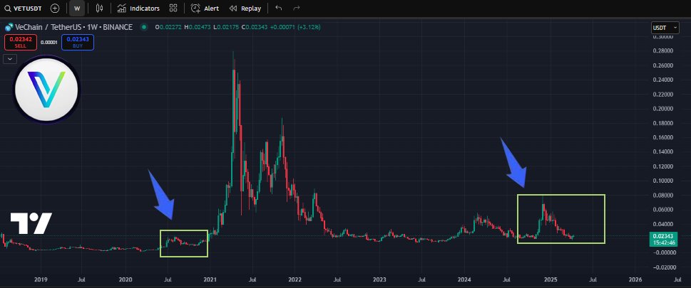HISTORY IS REPEATING  

VeChain $VET is ready   

Higherrrrr🫡