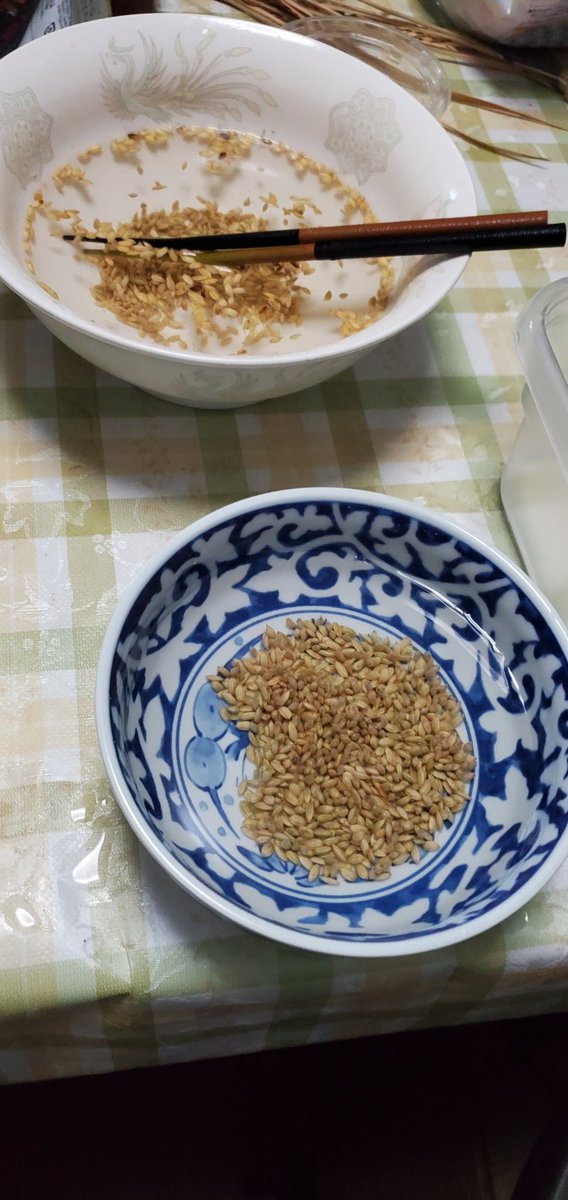 ゴマウ＠統合 tweet media