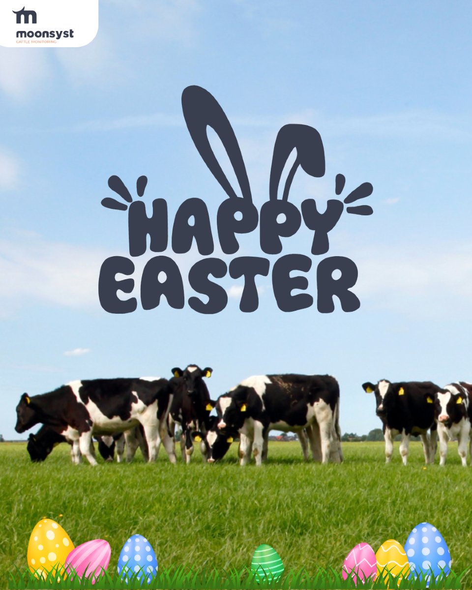 Moonsyst tweet media