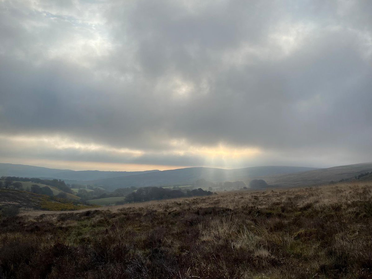 ExmoorSociety's tweet photo. Easter morning on Dunkery Beacon 🐣

Five hinds were seen across the moor and a cuckoo was heard in Bagley Combe. Thank you Gill Whitehead for sharing!

#exmoor #exmoornationalpark #eastermorning https://t.co/tyZ5d0mHCc