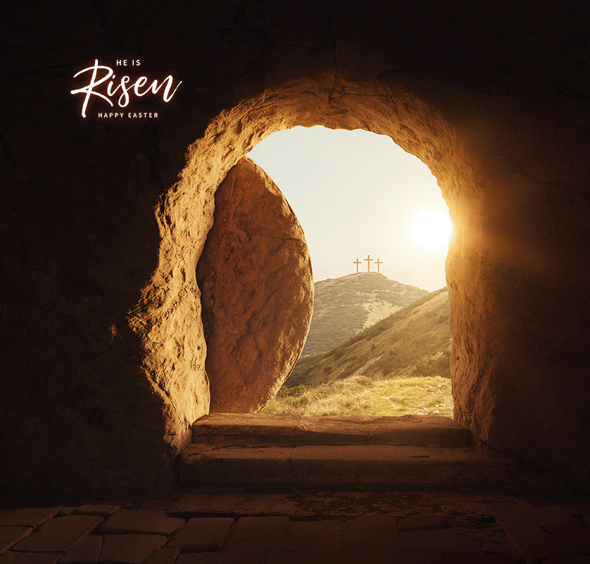 OrangeVFX tweet media