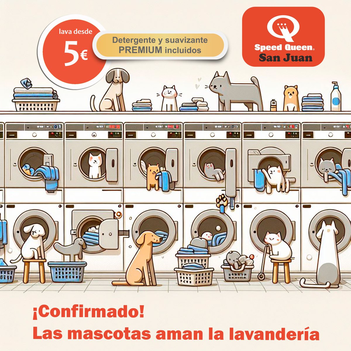 speedqueensj's tweet photo. ¡Confirmado! 🐶🐱 Las mascotas aman la lavandería: pisos frescos, olores interesantes y montañas de ropa calentita 🧺✨. Trae a tu peludo y hagan de la colada un plan juntos. ¡Guau, qué planazo! 😍🐾 #LavanderíaPetFriendly #LavanderíaAutoservicio #LaundryDay #SelfServiceLaundry https://t.co/MMHrgqgC99