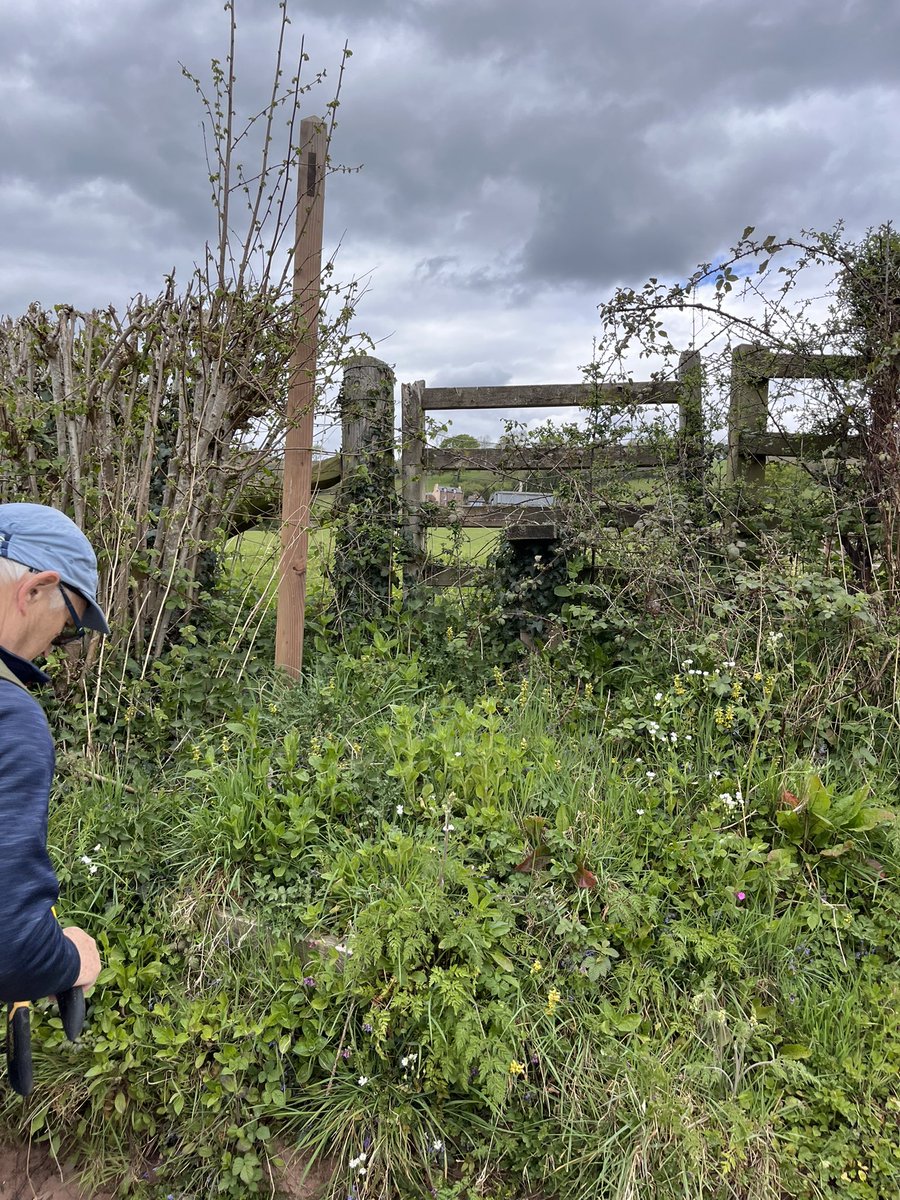 Andrew Stumpf tweet media