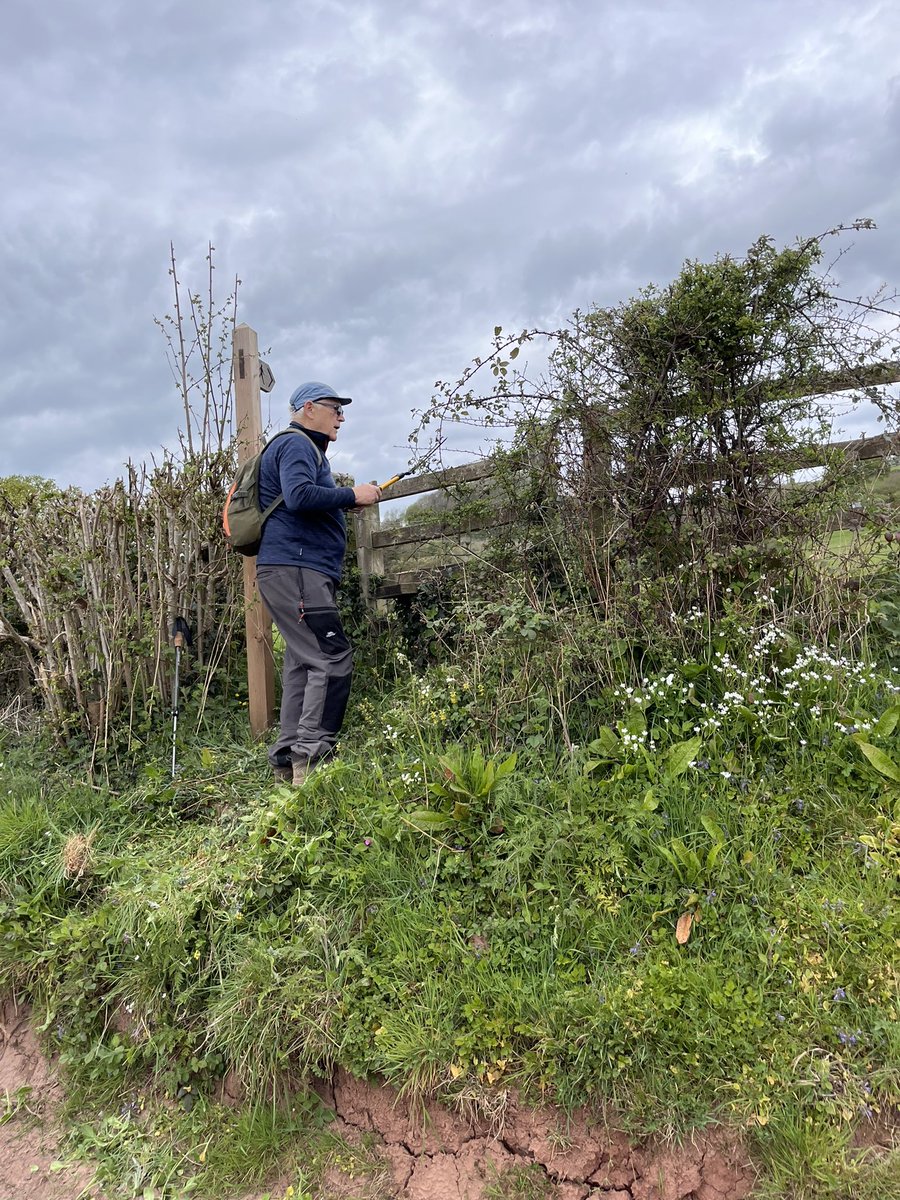 Andrew Stumpf tweet media