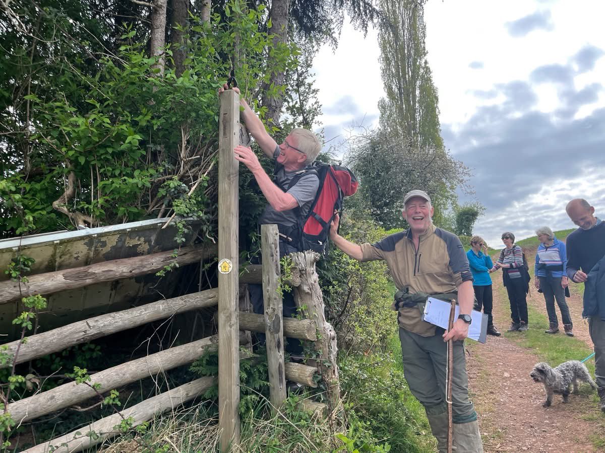 Andrew Stumpf tweet media