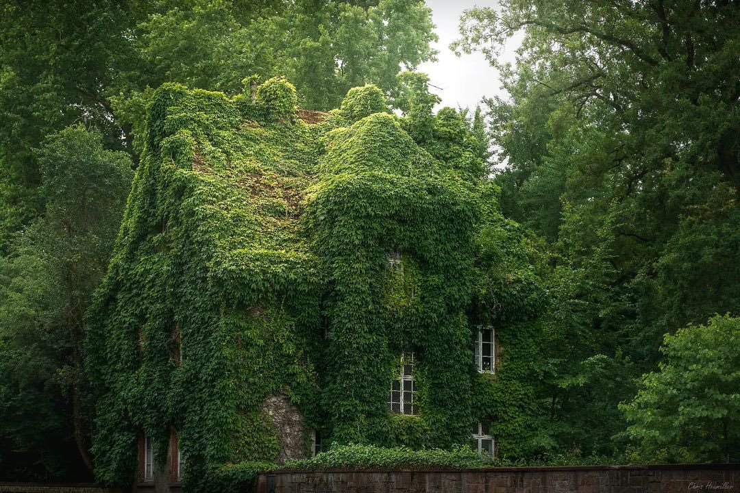 God’s Whisper (@godswhisper777) on Twitter photo 