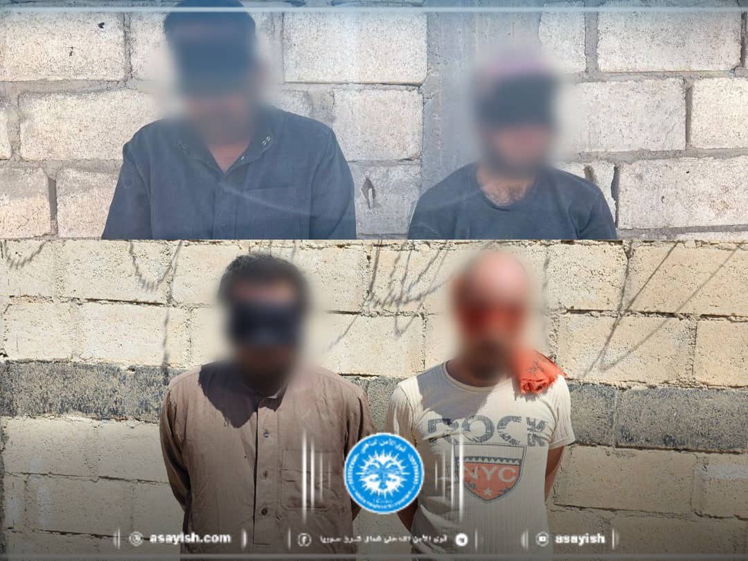 ypj_enformasyon's tweet image. Daiş çetelerine yönelik Hol Kampı Operasyonu devam ediyor...
👉Operasyonun 3.gününde:
*4 çete üyesi daha tutuklandı.
*Yakalanan DAİŞ'li sayısı 20'ye ulaştı.
*Birçok patlayıcı, askeri malzeme ve mühimmatlara el konuldu