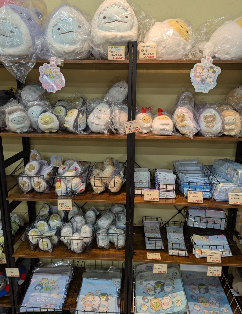 始まりました水族館限定すみっコぐらしグッズ販売。開館と同時に推しを