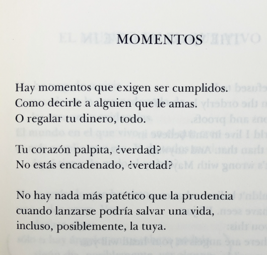 literland tweet media