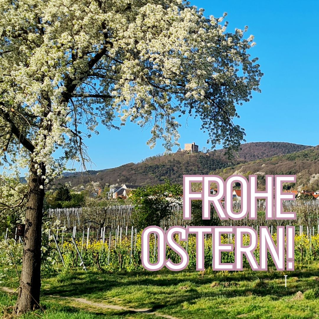 🐣🐰 Das Team des Hambacher Schlosses wünscht frohe und entspannte Ostern!

Wir sind während der Osterfeiertage von 10 bis 18 Uhr für Sie da und freuen uns auf Ihren Besuch!