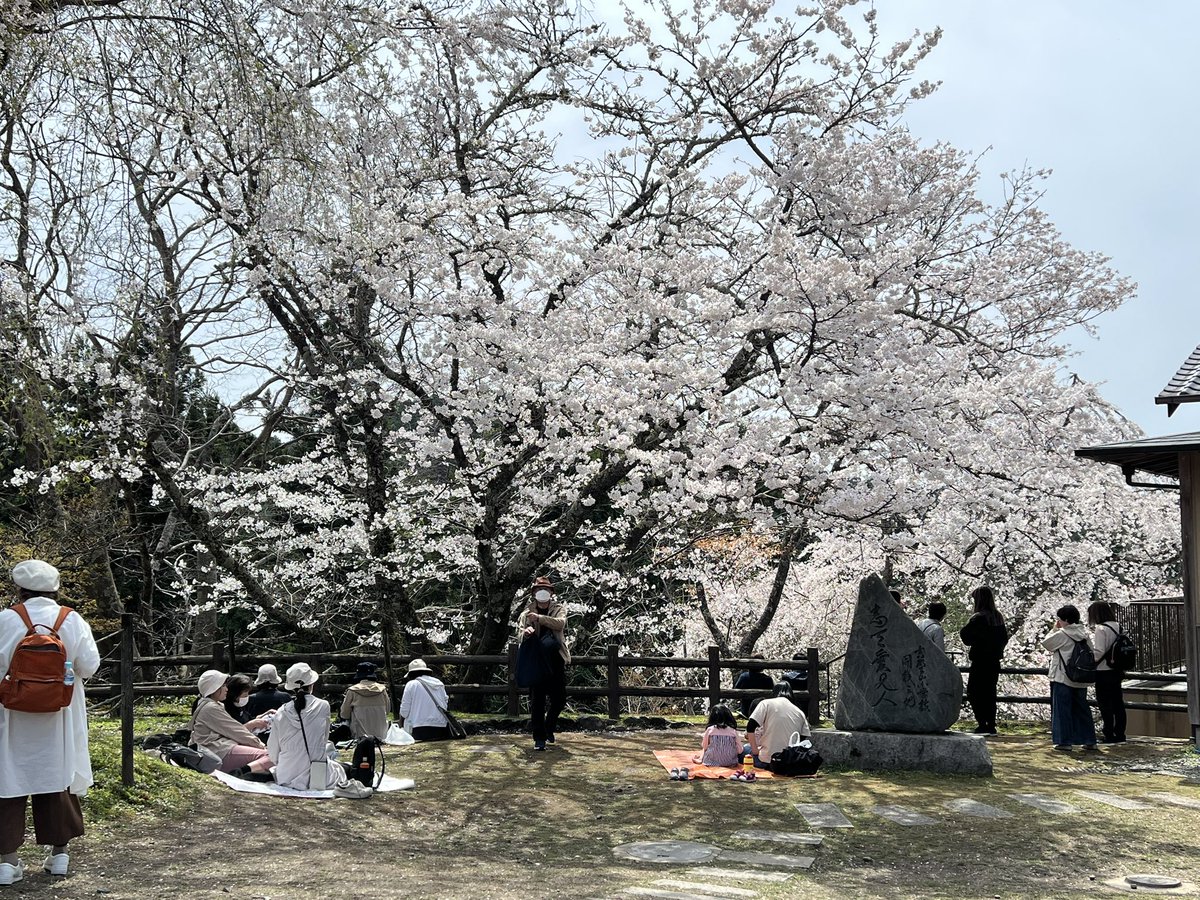 「妹&姪っ子ちゃん達とお花見をしながら、お昼は「やっこ」さんの柿の葉寿司をいただき」|ヨシノマホ🦌奈良クリエイターのイラスト