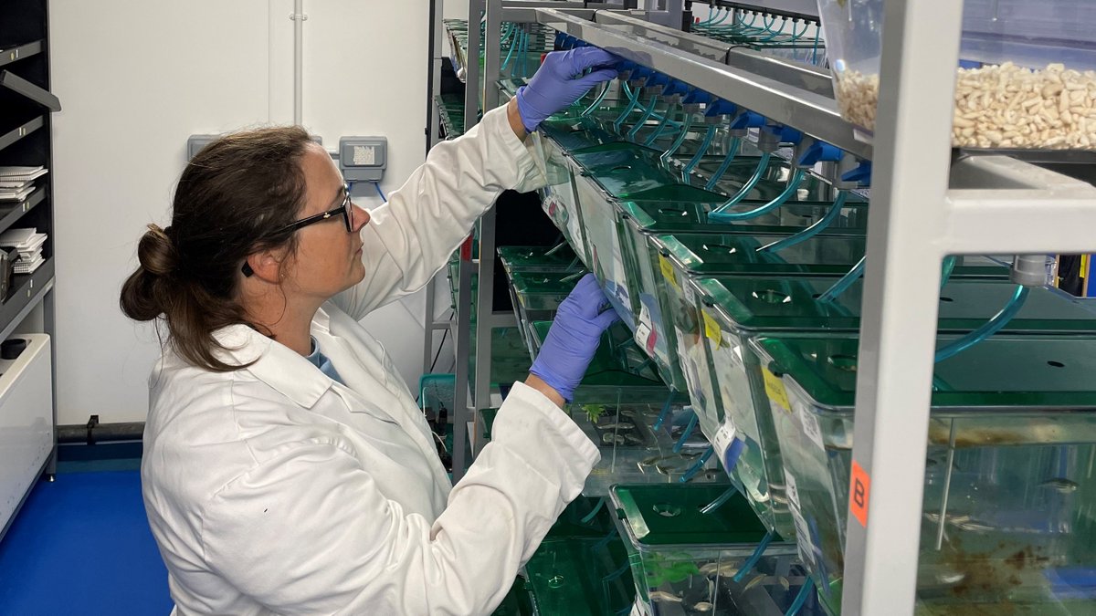 SwanseaUni's tweet image. 👏🎉 Congratulations to Dr Emma Kenyon who has been awarded an @acmedsci Springboard grant for their research on how to prevent antibiotic-induced #HearingLoss.

➡️ bit.ly/3Eg9h49

#Springboard25