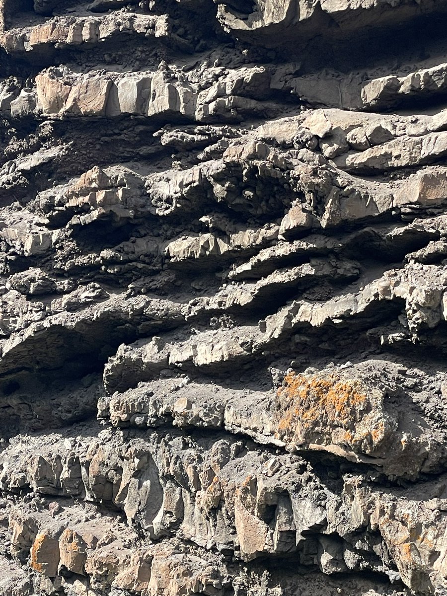 TurismoLosSilos's tweet photo. ☀️🖤 Cuevas Negras #LosSilos #IslaBaja #Tenerife #Senderismo #Hiking #Wandern 🥾🥾🥾🥾🥾 https://t.co/F3CwowWdFT