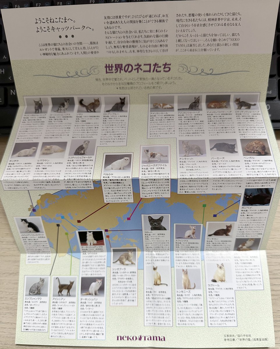 kitokyo_arc's tweet photo. 30年前の今日、1995（平成7）年4月8日、「二子玉川タイムスパーク」に「ねこたま」がオープンしました（「いぬたま」は1997年オープン）。
「二子玉川園」の跡地の再開発に向けた暫定利用エリア内であったため、2006年に閉園となっています。写真は1998年頃のパンフレットです。
#企業公式相互フォロー https://t.co/9eu1iO8IXG