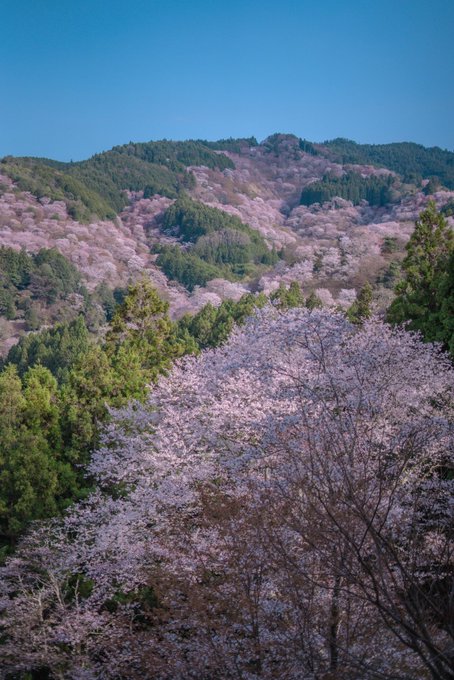 Twitterのコスプレ画像30