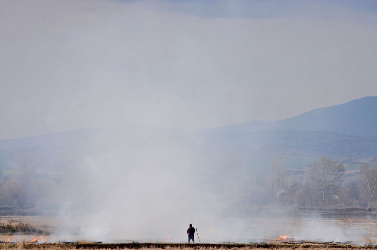 The last Macedonian will decapitate  their naighbor and burn the country to the ground #photos