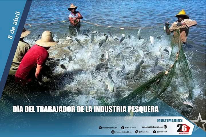 Feliz día para todos