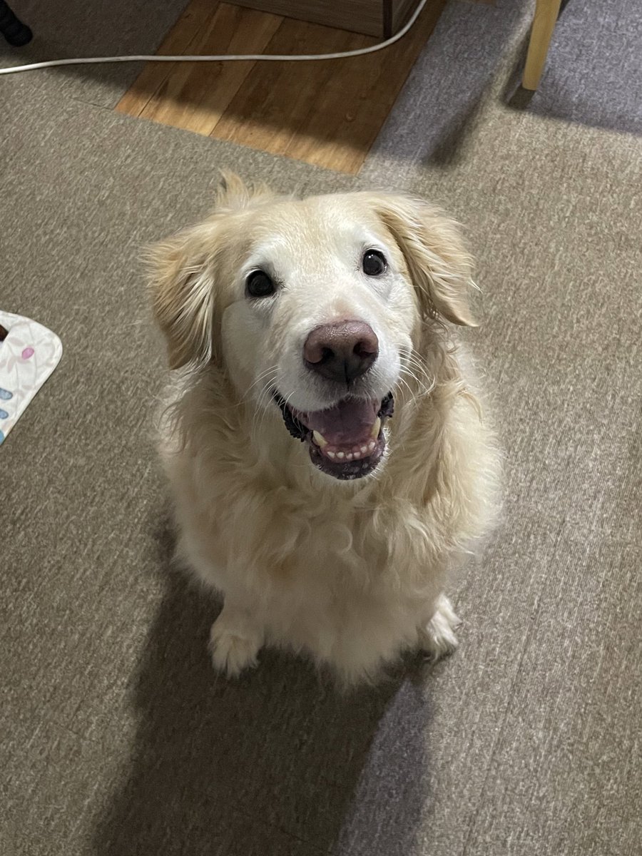 ruby_sm_'s tweet image. 😀