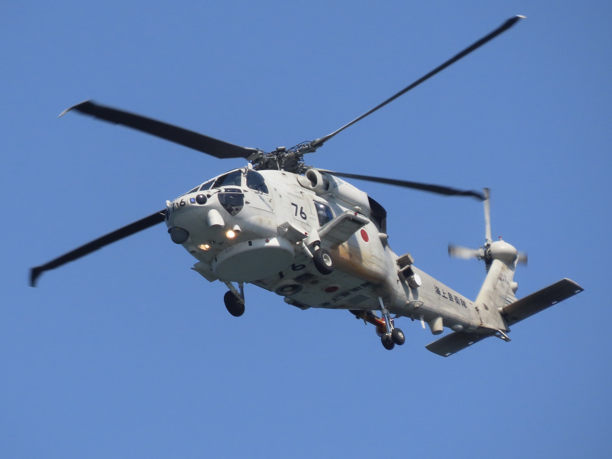 魚交（さめ） on X: 