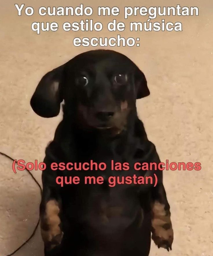 okkkvale 👍 (@okkkvale) on Twitter photo 