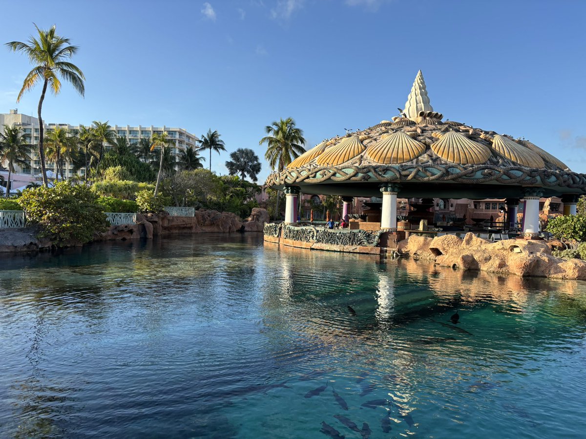 Waking up to a beautiful morning in paradise!
#Bahamas #BestLife #Hygge #Gratitude #Travel #Goals