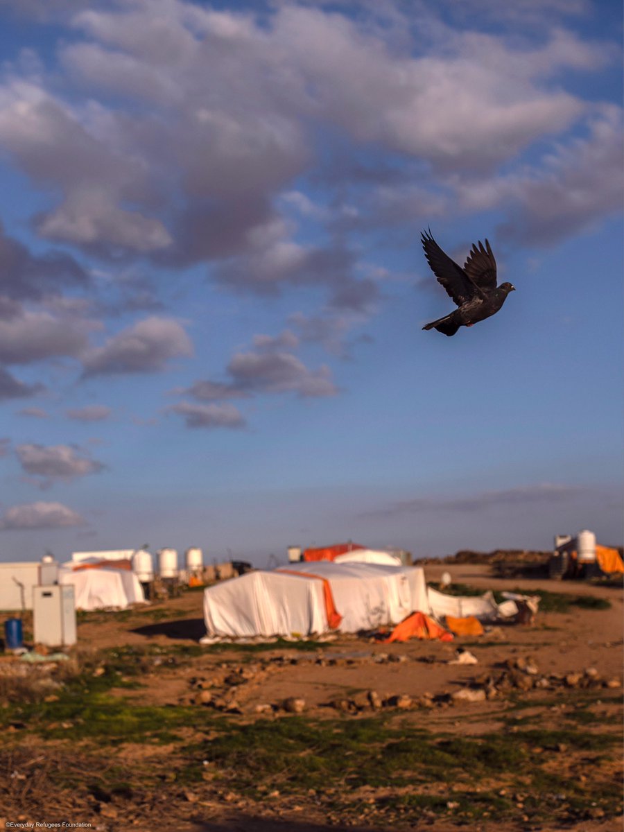 During the weekend, our team traveled to a tented settlement on the outskirts of Mafraq, Jordan, to deliver outfits and toys to Syrian refugee children, bringing smiles and joy. ‘Little Smiles’ our latest campaign, first stop Jordan. everydayrefugees.org/little-smiles #everydayrefugees