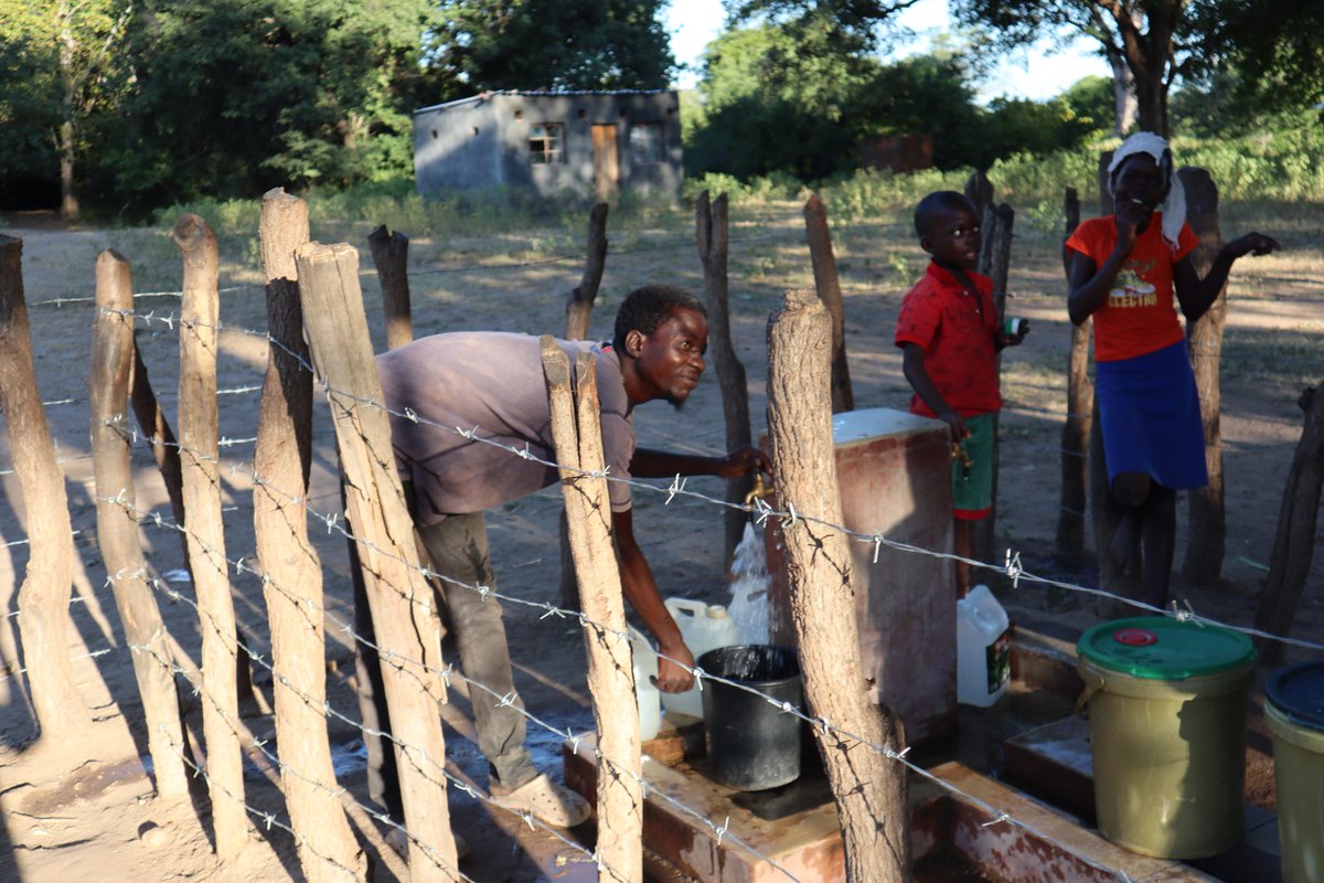 The Utariri Programme tweet media