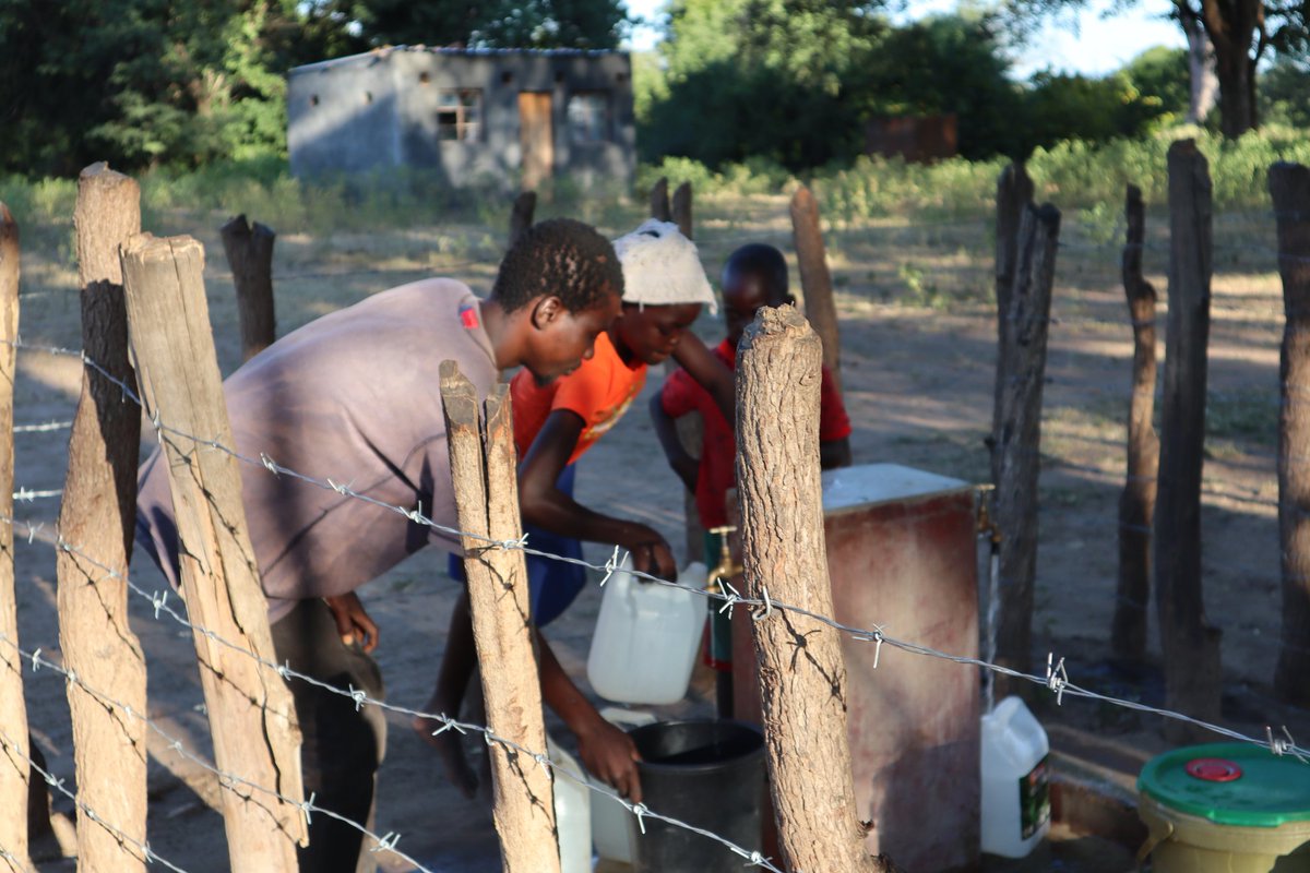 The Utariri Programme tweet media