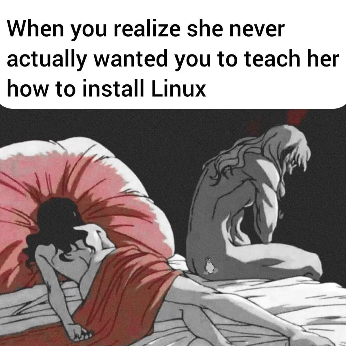 When you realize she never actually wanted you to teach her how to install Linux.

There is a photo of a man sitting on a bed where a woman is lying asleep, with a red sheet over her.