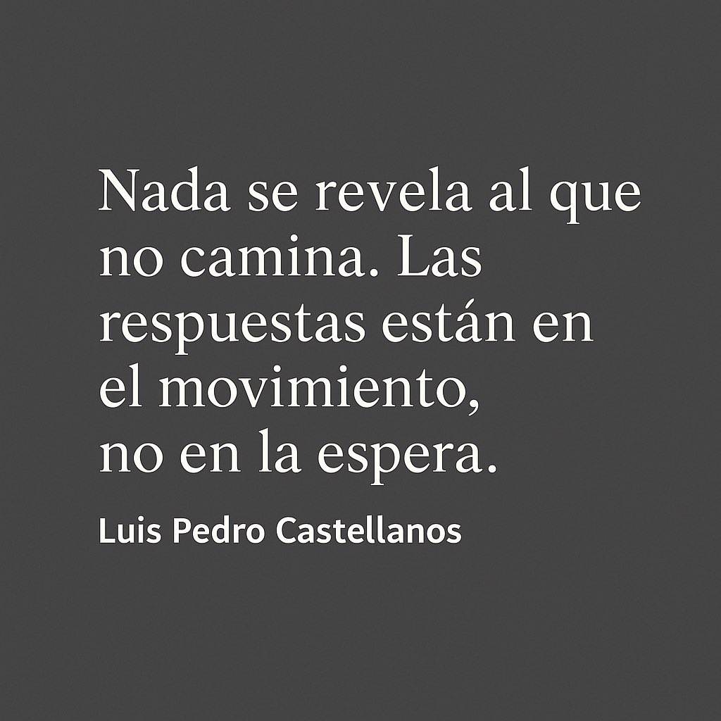 Luís Pedro Castellanos (@lpcastellanosd) on Twitter photo 