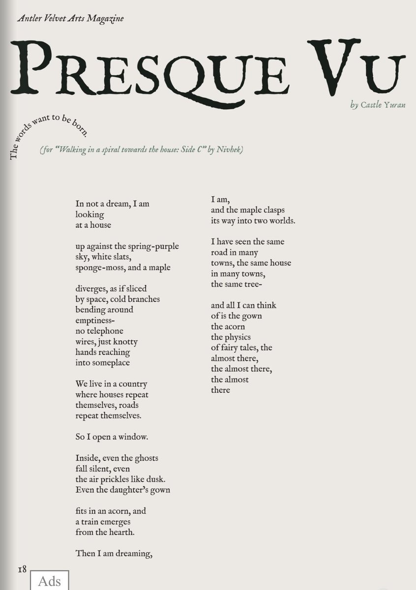 🥀🍂Castle Autumn Rose🍂🥀 tweet media