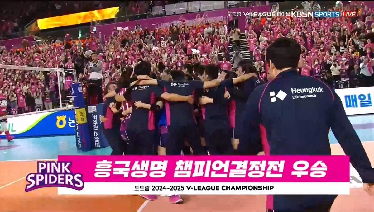 Daily Volleyball tweet media