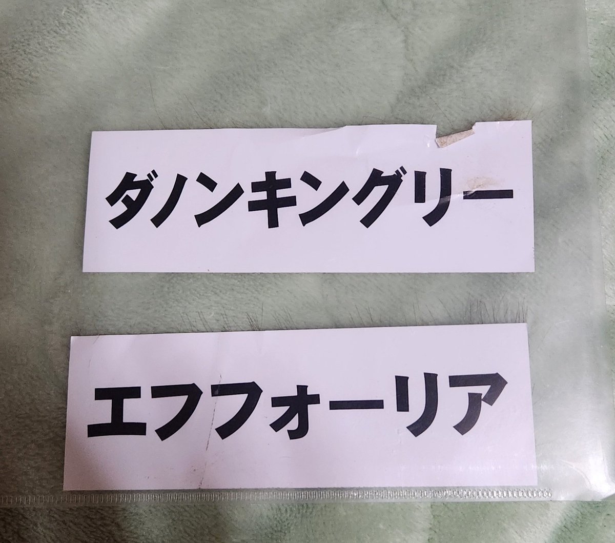 変わり種プレゼント企画笑

1️⃣ジェルメさん
　　ダノンキングリー　シール

2️⃣フクシアさん
　　エフフォーリア　シール

今なら、もれなく該当繁殖馬の毛付きです🤣

締め切りは、明日夜９時です！