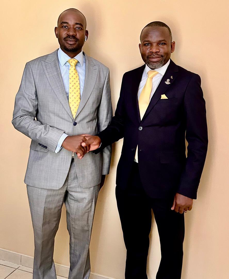 Anebhora ndiye anomakwa <a href="/nelsonchamisa/">nelson chamisa</a>