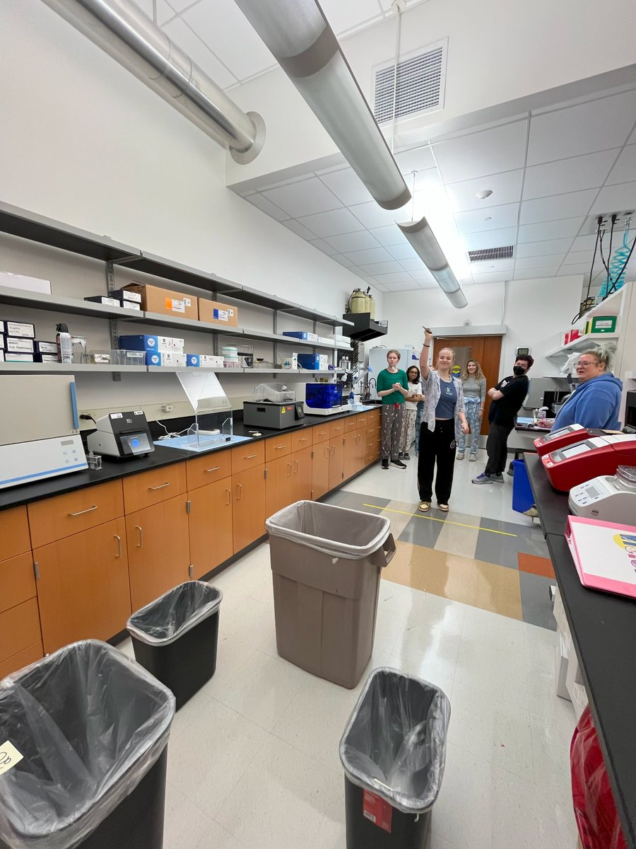 TheGregoryLab's tweet image. Our 2nd annual #LabOlympics were also held last week, including #pipette tip shooting, glove swapping, typing race, #LabTape shuffleboard, and the tip box race. 
Winners received extra points for our #LabAppreciationWeek and bragging rights until next year's competition 🏓🌟🏅🧪