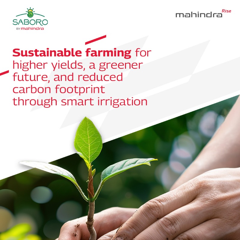 MahindraRise's tweet photo. Celebrating 20 years of Saboro! From our first shipment in 2005 to becoming a global leader in premium Indian table grapes.
Empowering 500+ farmers with sustainable practices.
#20YearsOfSaboro #MahindraRise #TogetherWeRise #RiseToCreateValue