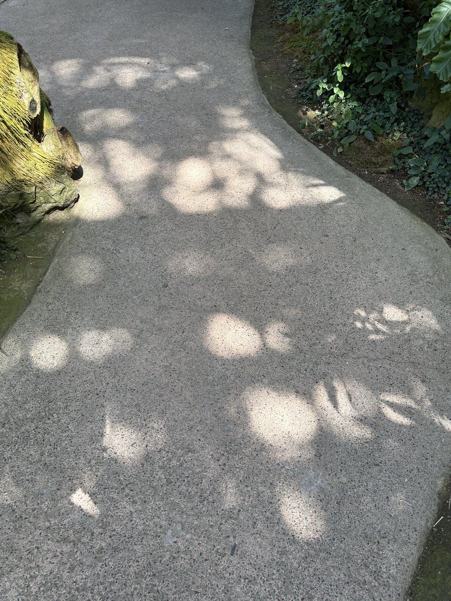 最近見つけた、思いがけず好きなもの。