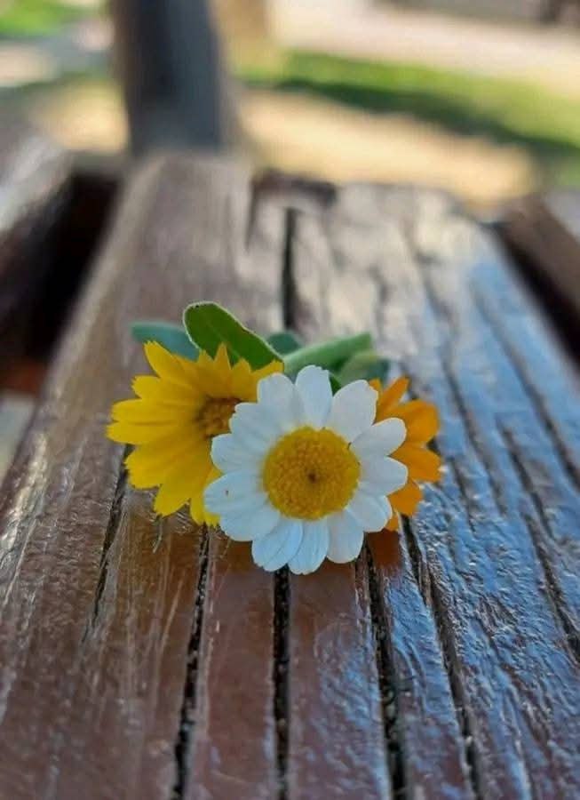 كُل سُبل الأرض
لا تقفُ أمامَ خيرٍ أرادهُ اللهُ لك
فاطمئنْ