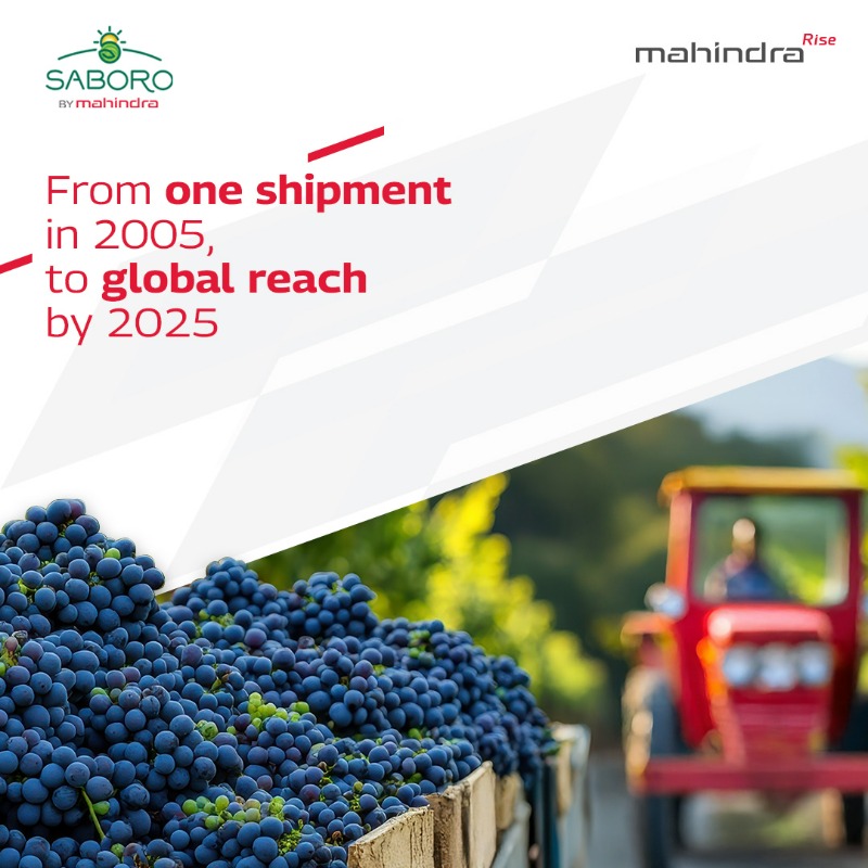 MahindraRise's tweet photo. Celebrating 20 years of Saboro! From our first shipment in 2005 to becoming a global leader in premium Indian table grapes.
Empowering 500+ farmers with sustainable practices.
#20YearsOfSaboro #MahindraRise #TogetherWeRise #RiseToCreateValue