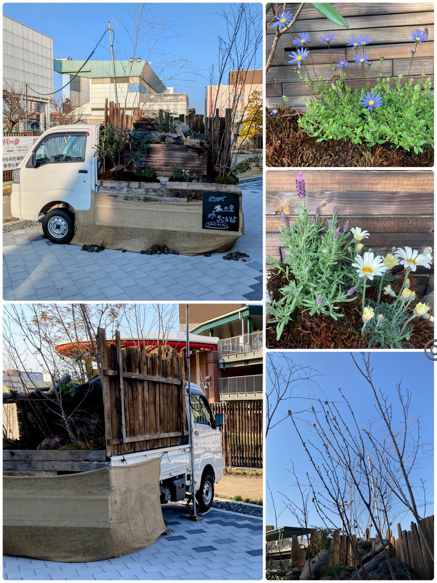 sekaiandjpn's tweet photo. #cool 4
#軽トラガーデン #山車
#minitruck(Keitora)#garden #floats
at #全国都市緑化かわさきフェア
#GreenForAll(~4/13)
#川崎市 #富士見公園 #kawasaki
①音の庭
②#Spring of Life
③春風駘���
④('24秋)
by 日本造園組合連合会
#Japan Federation of #Landscape Contractors
#GardeningX #plants https://t.co/ok6w1hkUD5