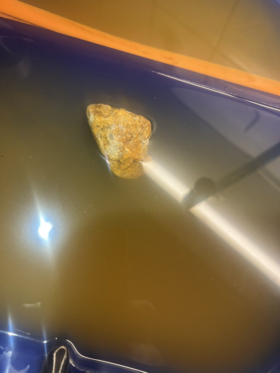 We have our own airforce now upgraded to Gripen AU.
Make swen great again