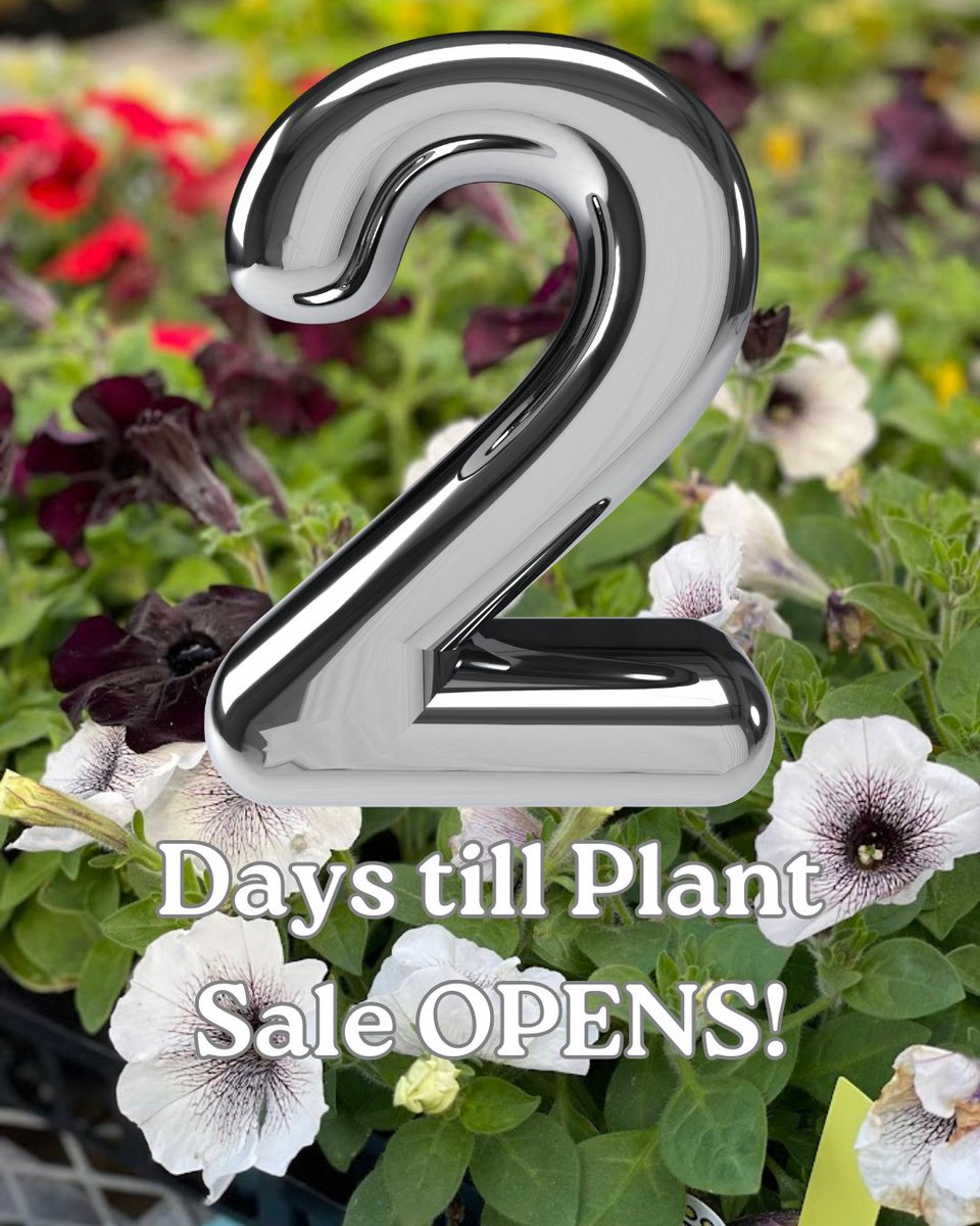 Apex FFA tweet media