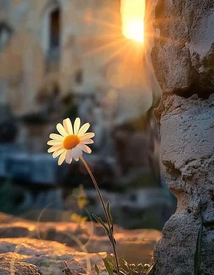 وفرج الله لا يأتي بتخطيط منك
وانما يأتي بكن فيكون.