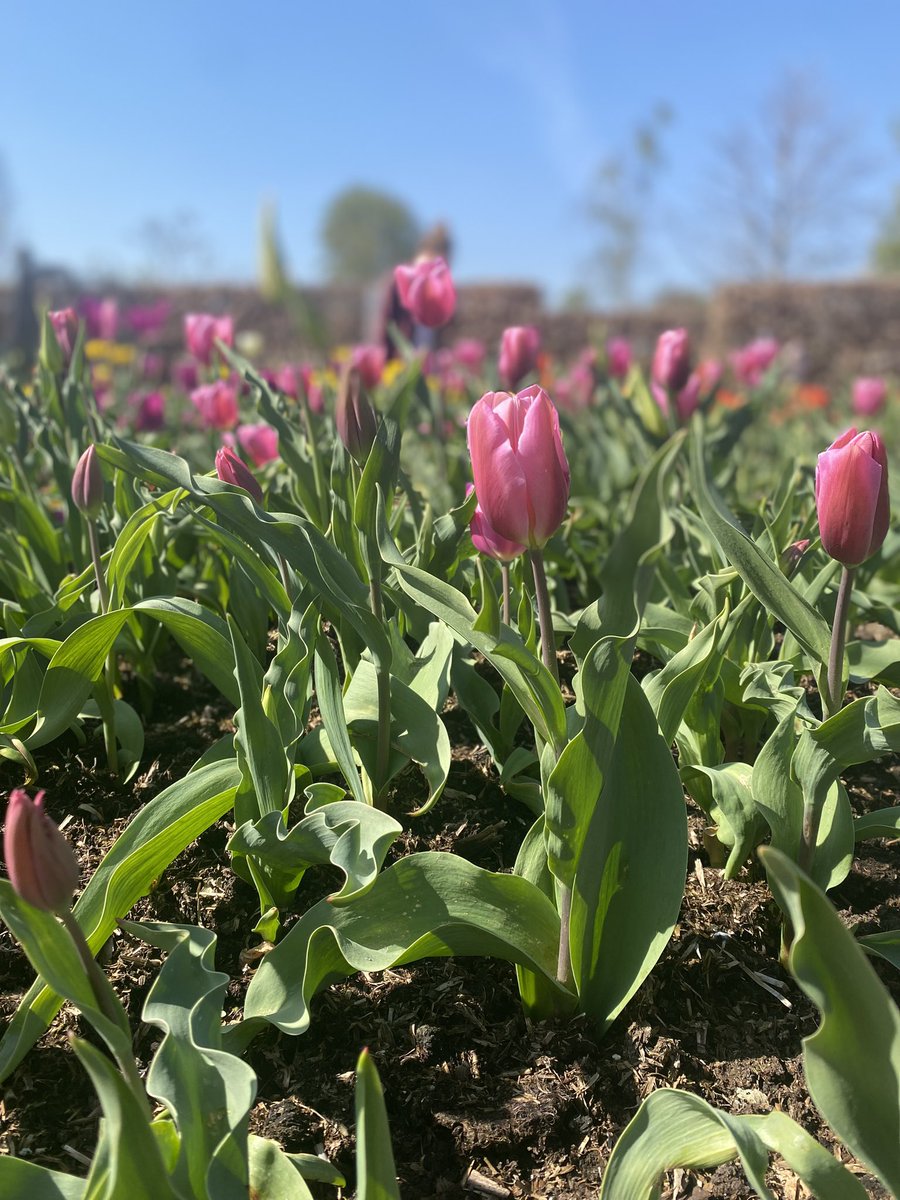 Penny Cook tweet media