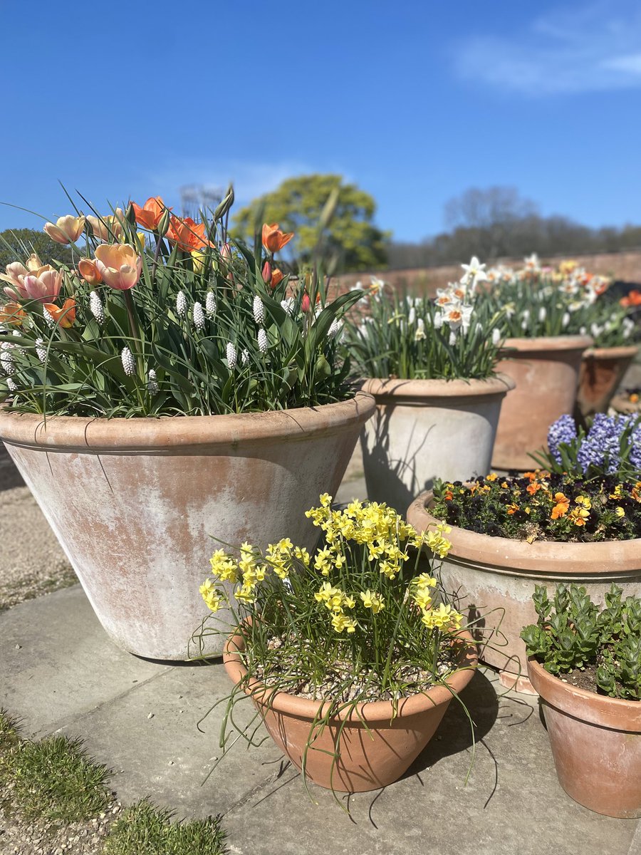 Penny Cook tweet media