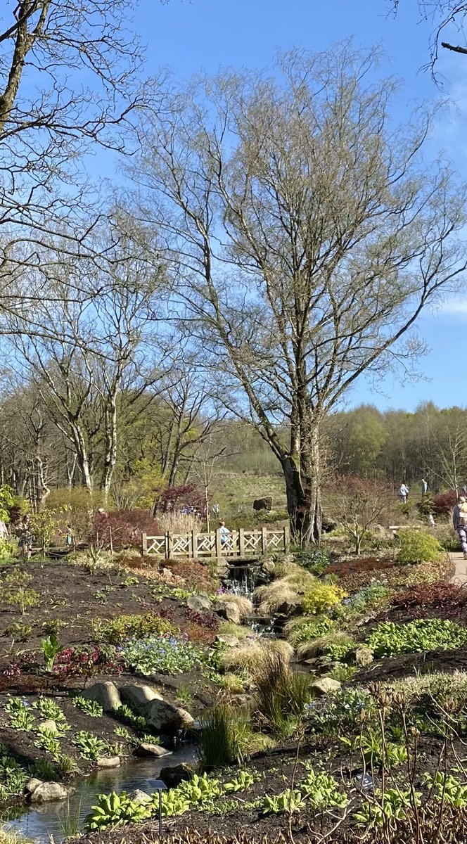 Penny Cook tweet media