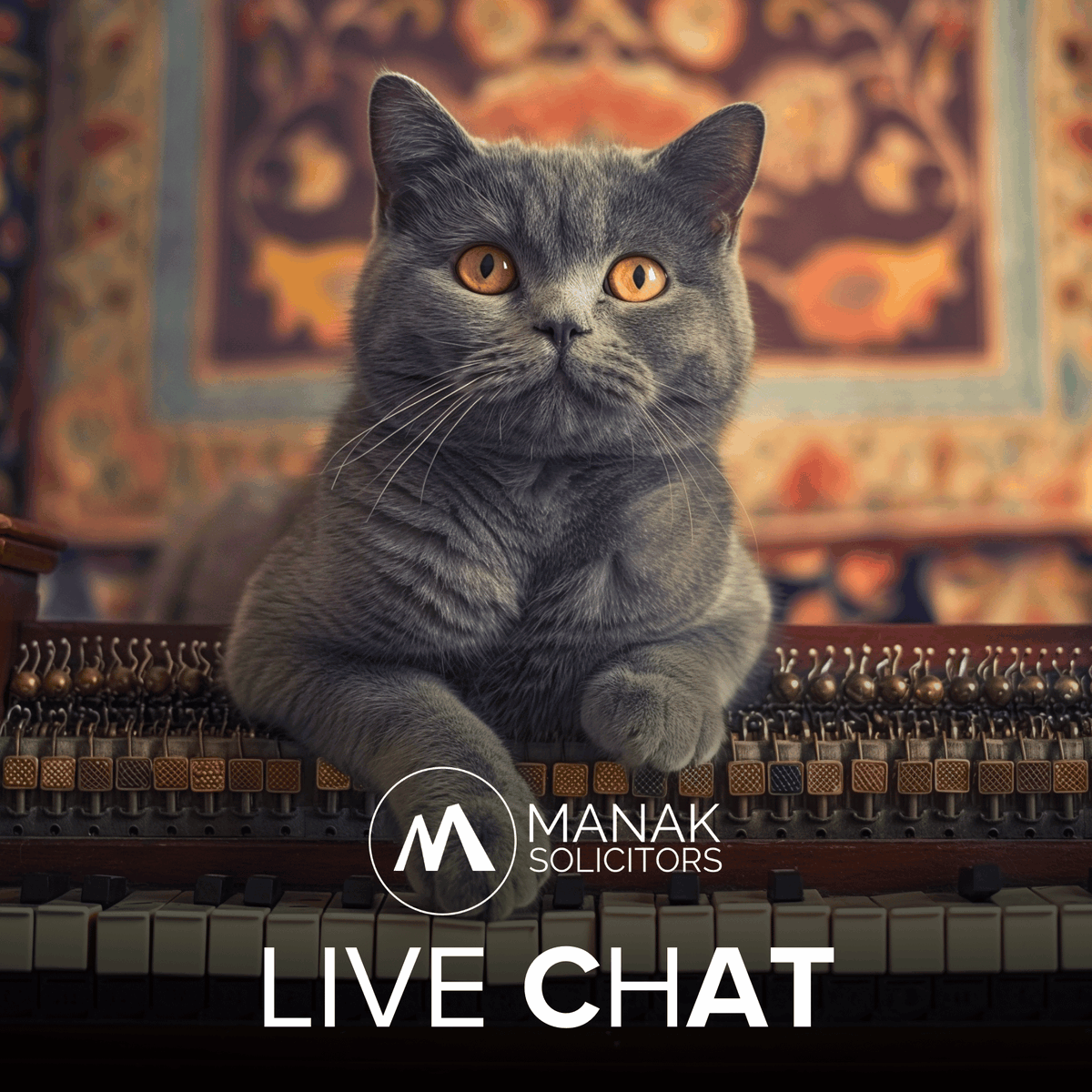 Before the first note, there’s Billie.

Our AI assistant is ready 24/7 on live chat — helping you with legal questions, big or small.

🎟️ Before the concert begins, start your journey with us.

#MeetBillie #InstantInstruct #YourLegalExperts #Sartaajlive