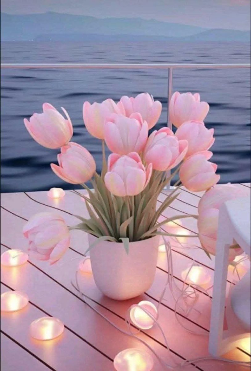 على صراط الأمل
 أحلامنا تستقيم
 اللهم إنا نحاول، فأعنا