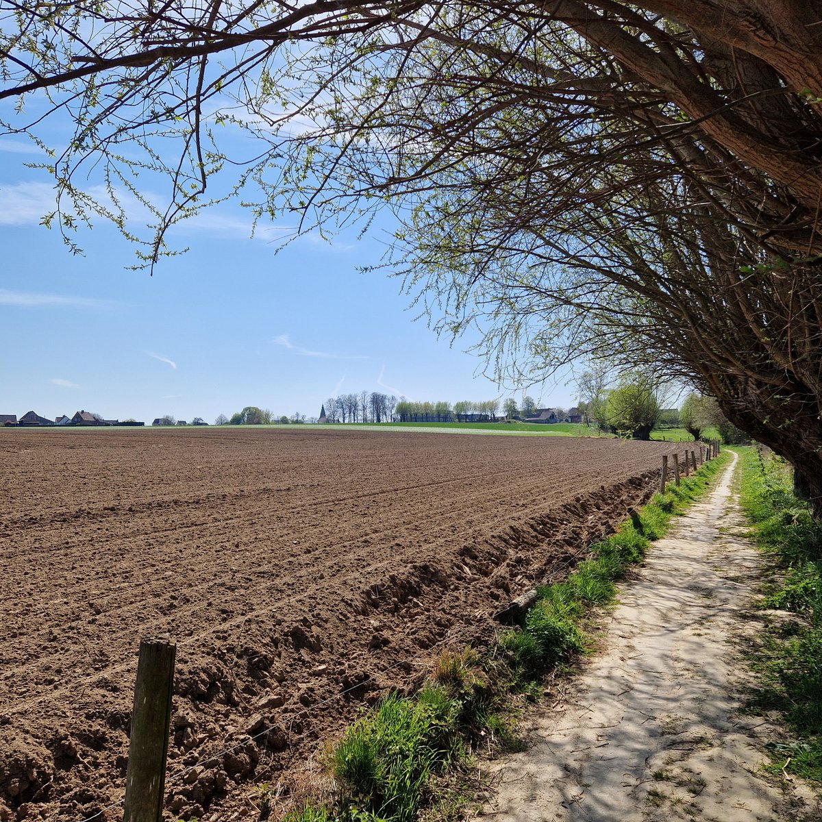 PeterDR007's tweet photo. #vrtweer
Kruisem  08/04/25  om 15u00 https://t.co/c7kAhFdSxJ